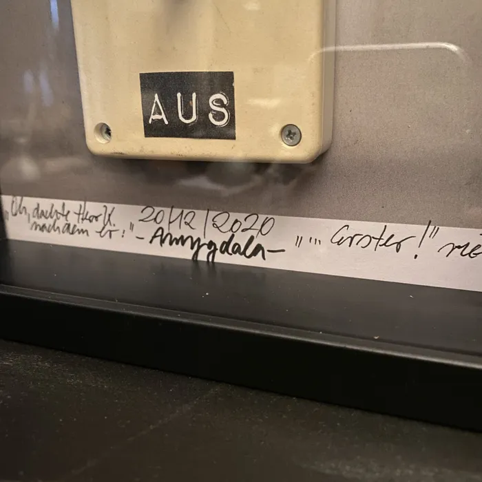 Ohne Titel – Plastiken & 3-D